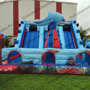 Ocean Dolphin Mega Slide