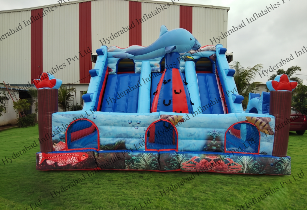 Ocean Dolphin Mega Slide