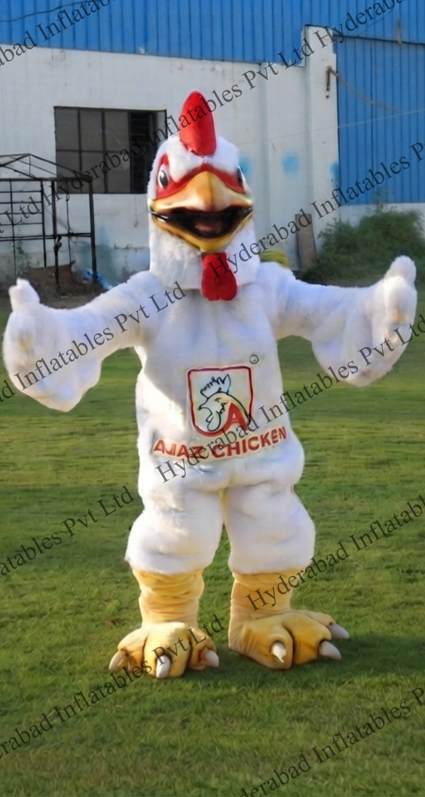 Chicken Mascot Costume