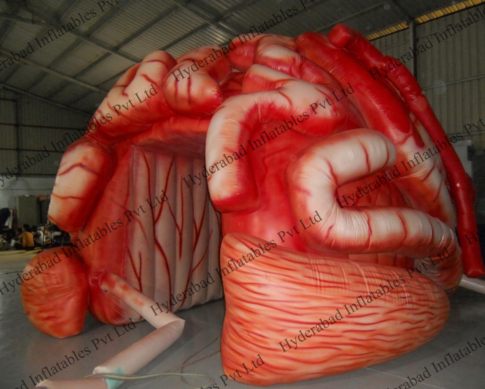 Brain Tunnel - Image 2