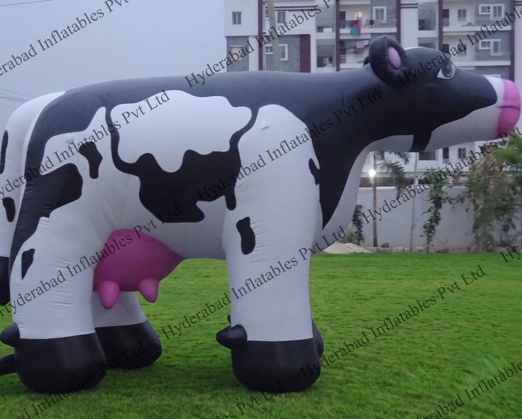 Cow Inflatable - Image 2