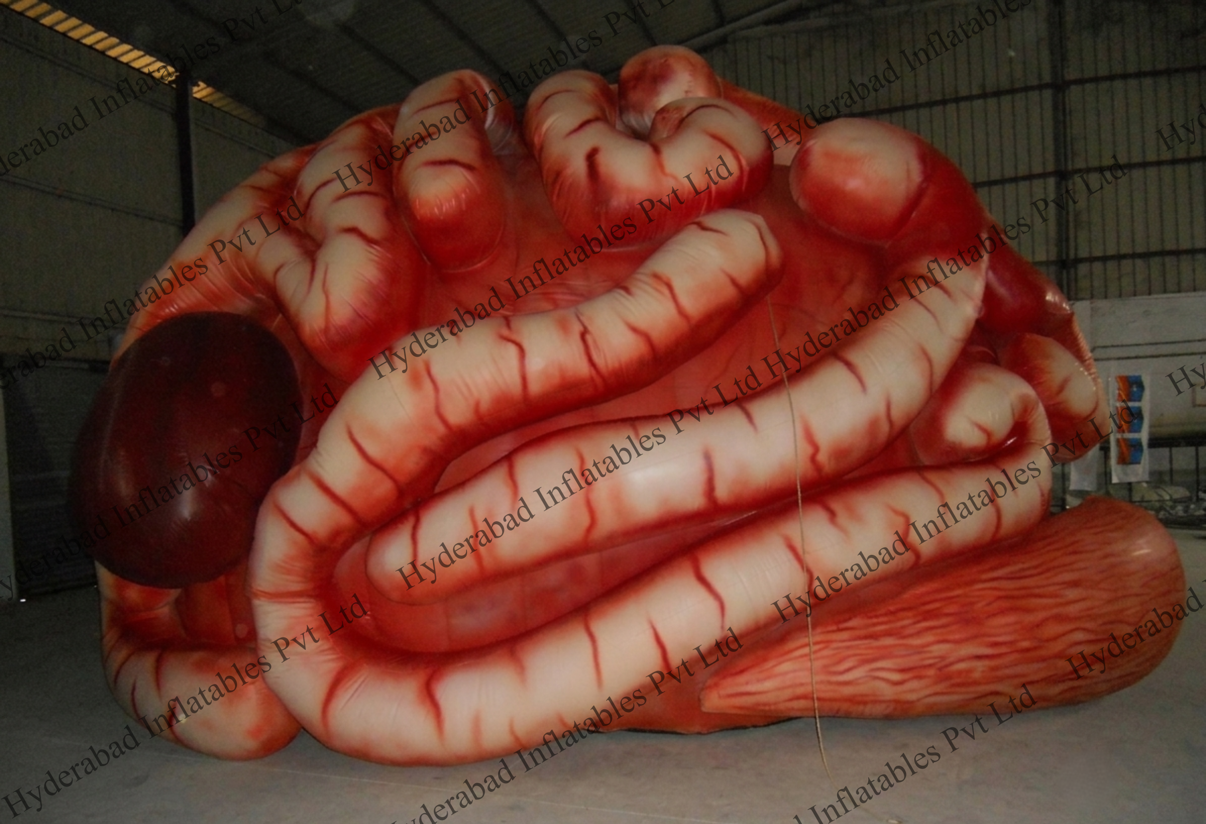 Brain Tunnel - Image 3