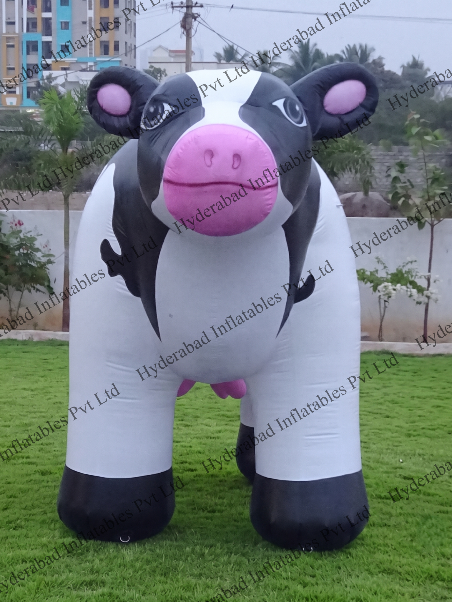 Cow Inflatable