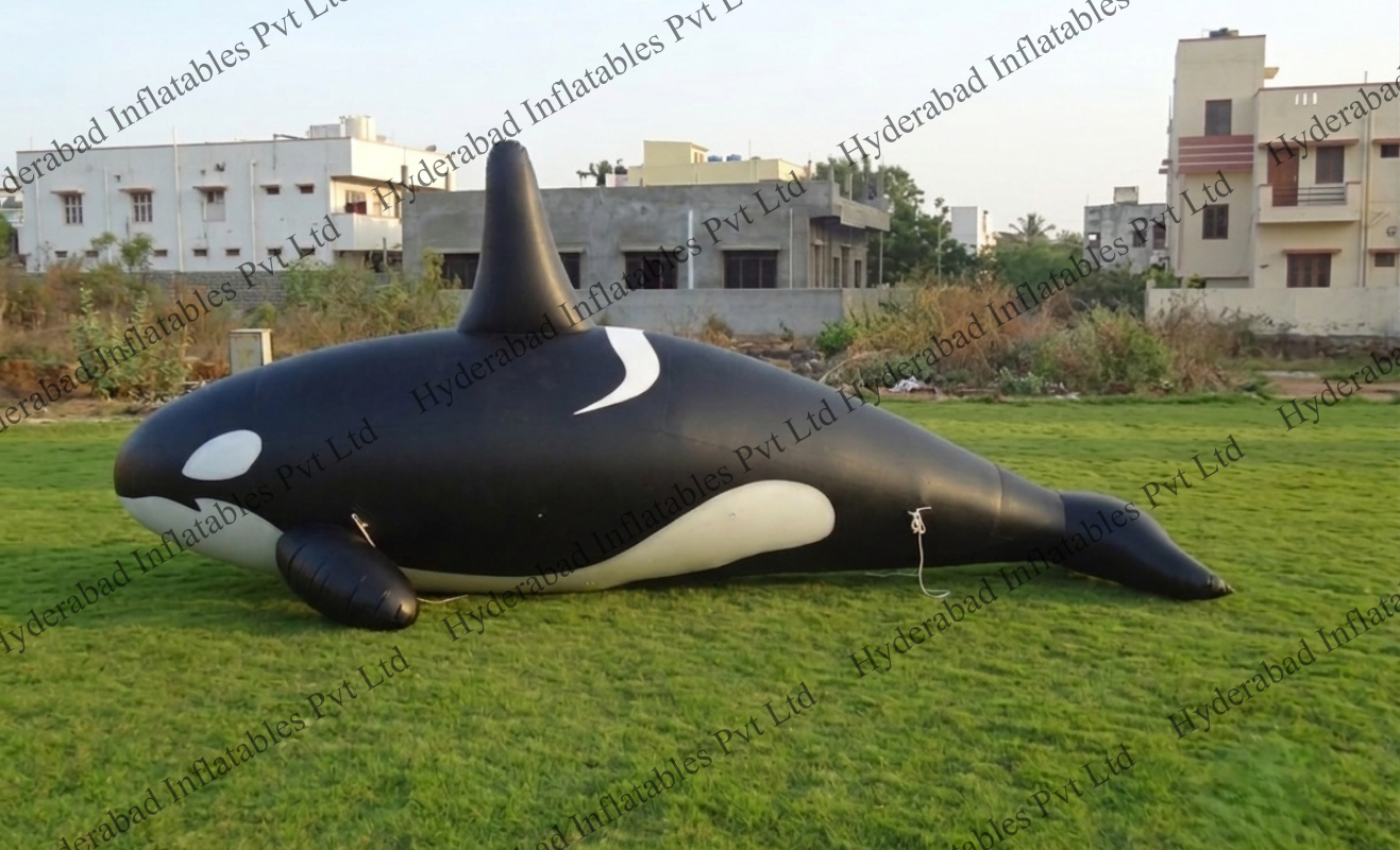 Giant Orca - Image 4