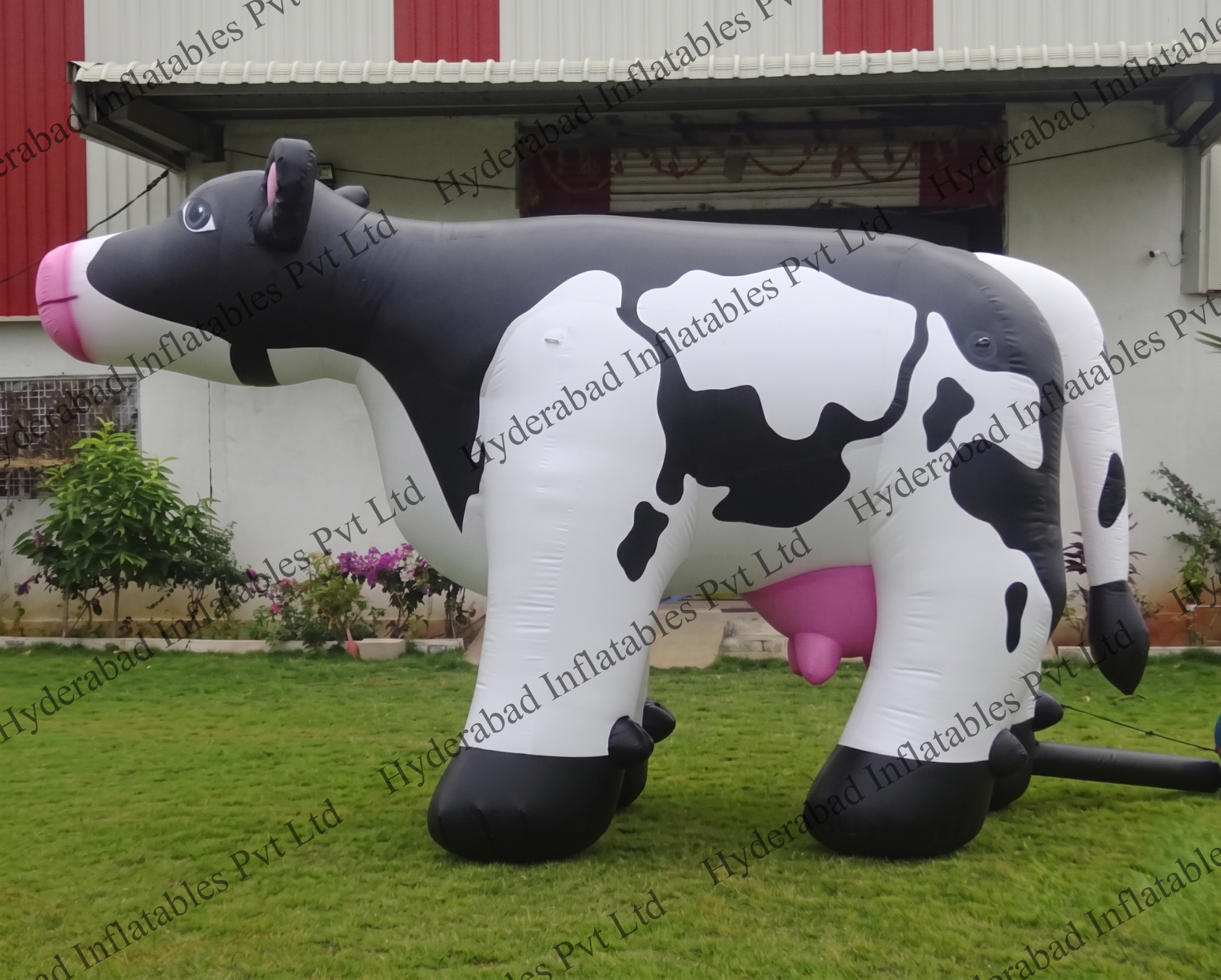 Cow Inflatable - Image 3