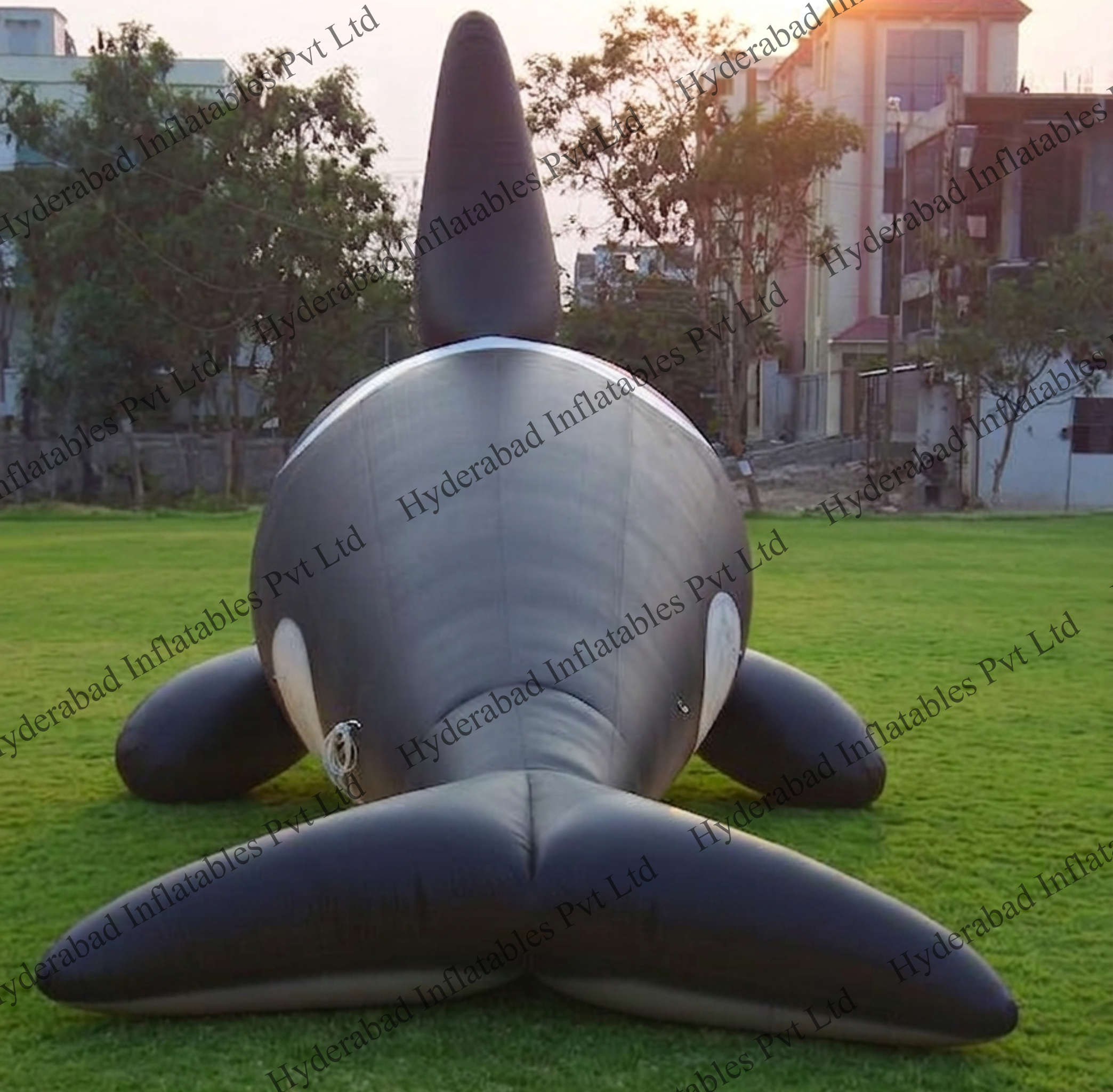 Giant Orca - Image 3