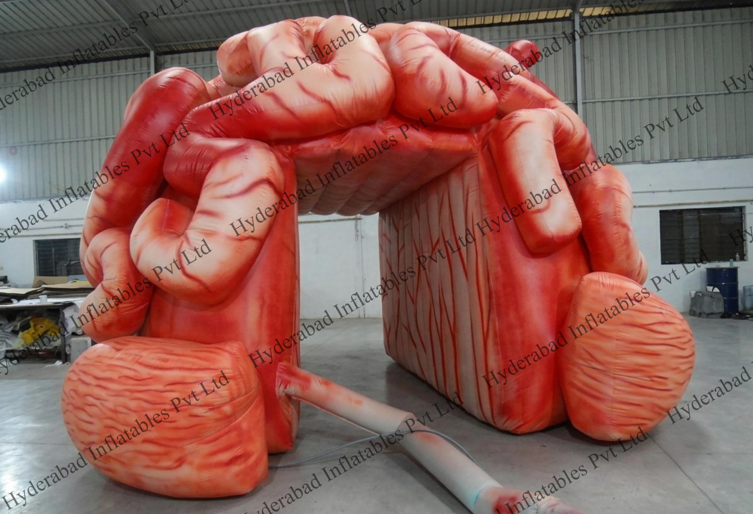 Brain Tunnel