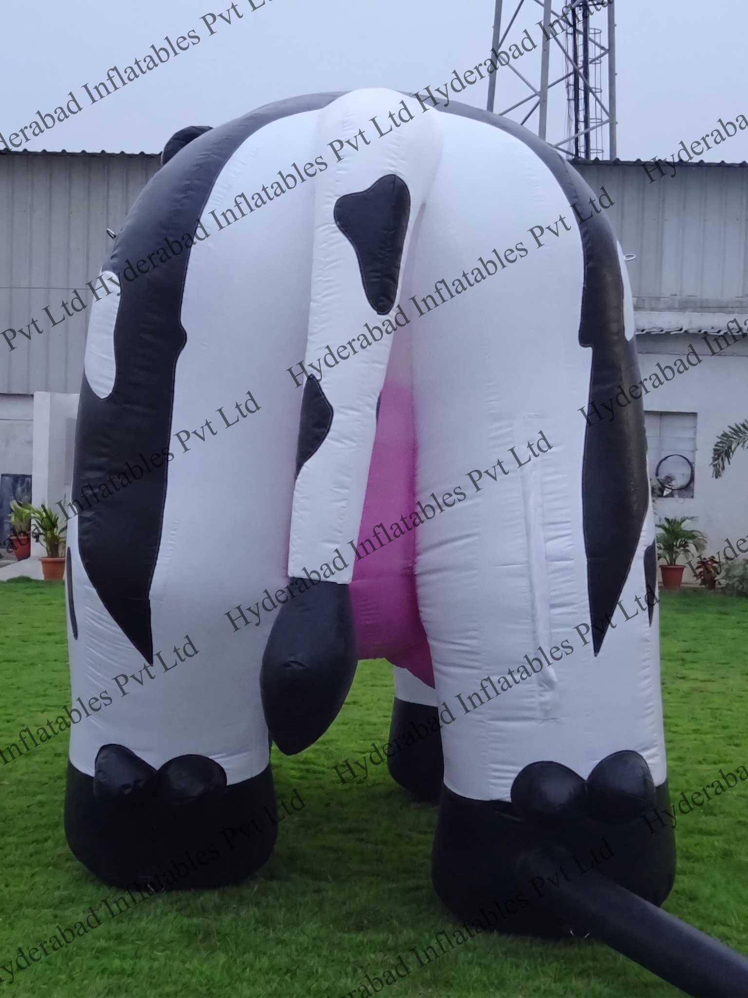 Cow Inflatable - Image 4