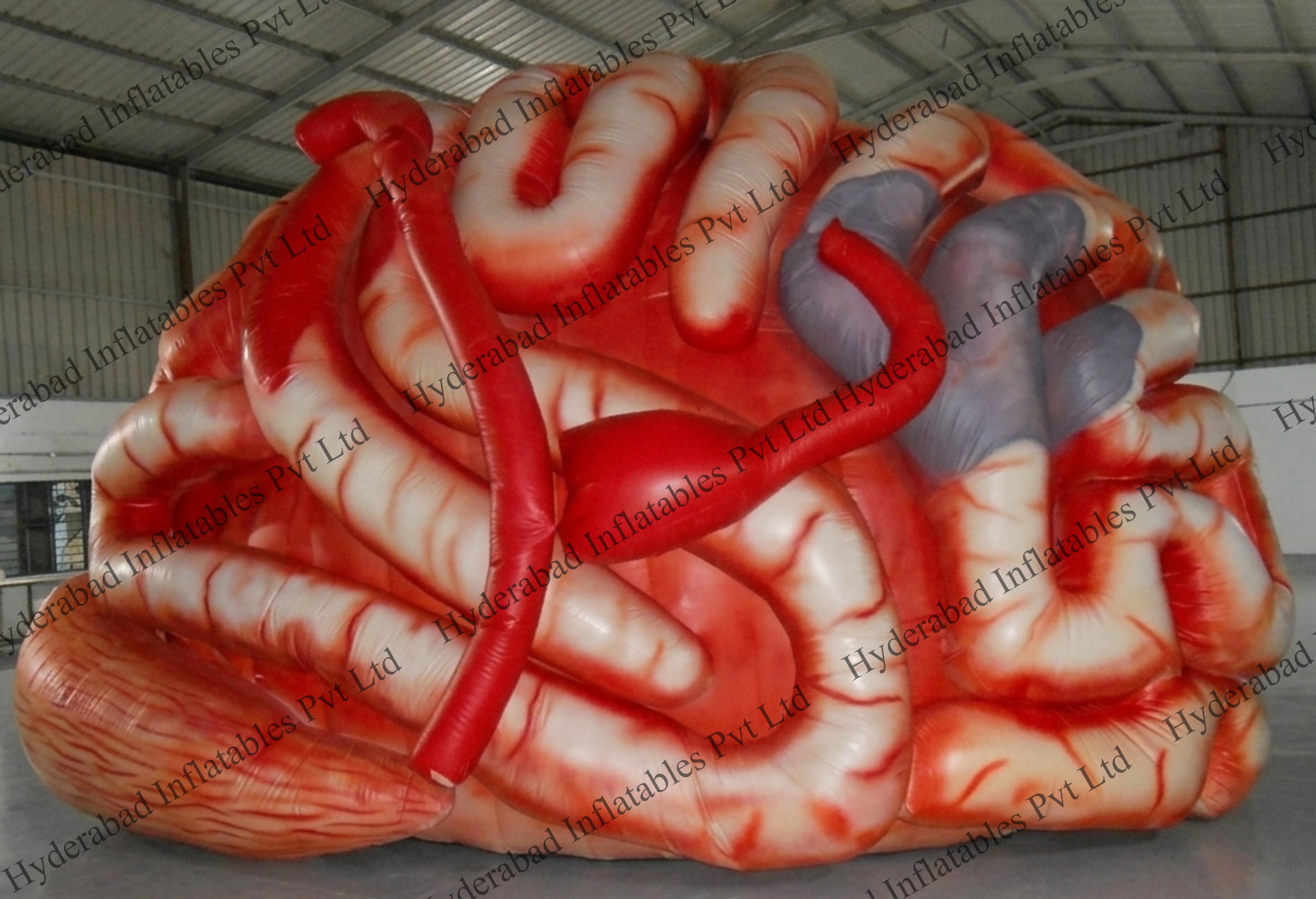 Brain Tunnel - Image 5