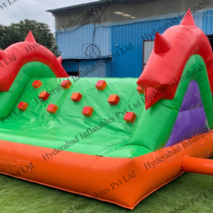 Dragon Horn Climb & Slide