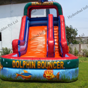 Dolphin Bouncer Slide