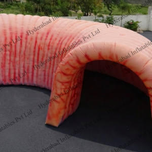 Human Colon Tunnel
