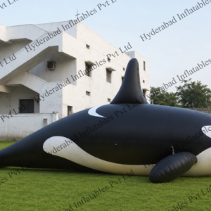 Giant Orca